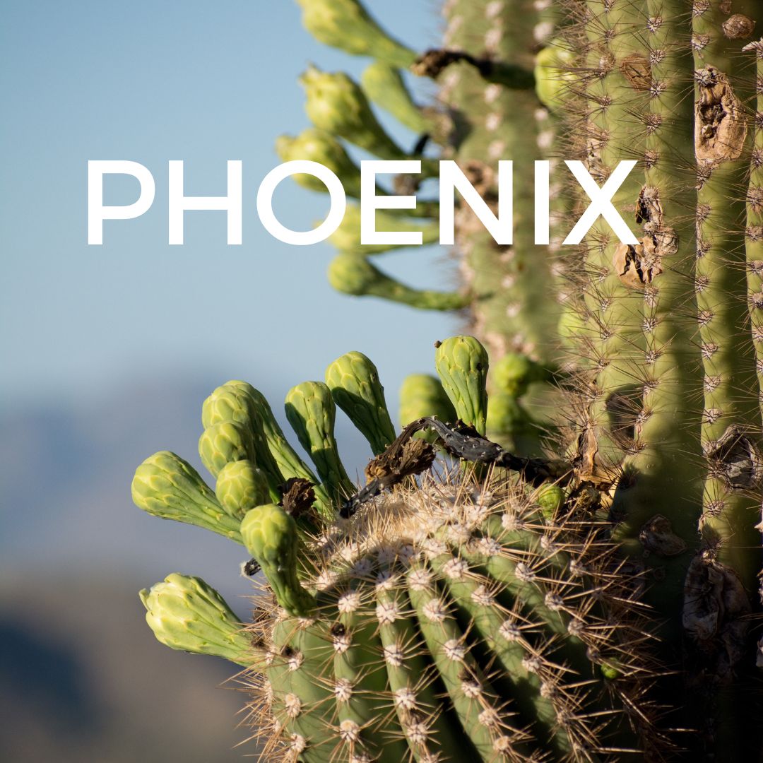Phoenix – Friday, <br></noscript>June 23, 2023